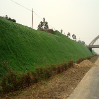 丹隆承接边坡绿化工程施工