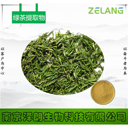 绿茶提取物绿茶粉现货供应