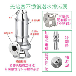 干式污水泵-临泉泵业污水泵零售-干式污水泵型号