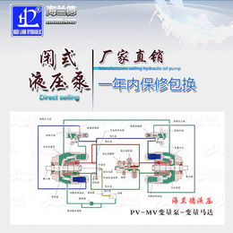 压路机闭式液压泵价格-滨州压路机闭式液压泵-山东海兰德液压