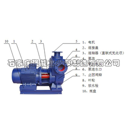 强能水泵厂-安庆AH型细沙回收机配套泵厂家