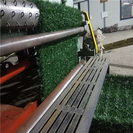 篱笆草坪网优势-定州市明阳机械厂-草坪网