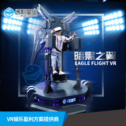 VR小型体感游戏VR暗黑之翼站立飞行VR设备一套体验馆