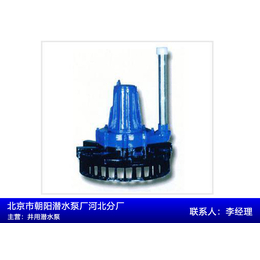 工程污水泵-朝阳潜水泵(在线咨询)-污水泵
