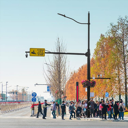 南昌智慧路灯 智慧灯杆厂家 城市道路合杆 智慧交通多杆合一