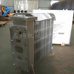  RB-2000煤矿用增安型电热取暖器