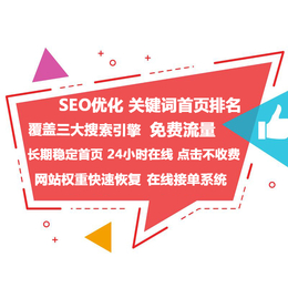 网络营销网站建设项目 *建站运营 企业网站建设全包