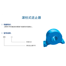 减速机逆止器-邹城广信科技(在线咨询)-逆止器