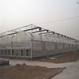 玻璃温室大棚-蔬菜玻璃温室-科农温室(推荐商家)