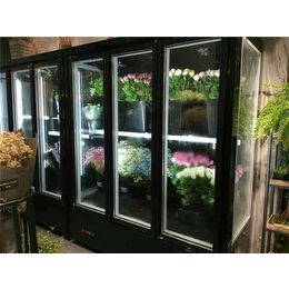 衡阳鲜花玻璃保鲜柜-达硕冷冻设备生产-鲜花玻璃保鲜柜厂家