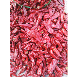 色素辣椒品种-农瑞丰(在线咨询)-色素辣椒