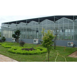 青州瑞青农林科技(图)-阳光板智能温室大棚价格-萍乡智能温室