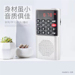 快乐相伴音箱厂家-新品L-328插卡录音机支持定制