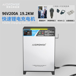 工业充电机-爱普拉新能源稳定-48V50A工业充电机