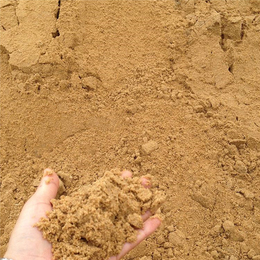 沙子-买建材就找*建材-沙子运费