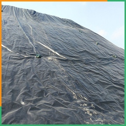 垃圾覆盖HDPE土工膜-土工膜-泰安沃特尔