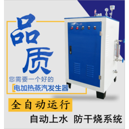 蒸汽发生器 36kw电蒸汽发生器 免*全自动小型蒸汽发生器