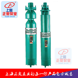 上海正奥QS型充水湿式潜水电泵