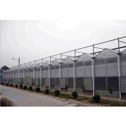 玻璃温室建设-西藏玻璃温室-青州市鑫华生态农业