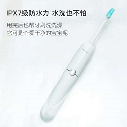 ximalong工厂(图)-电动牙刷odm-电动牙刷