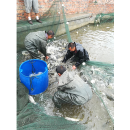 九江水产养殖-水产养殖膨化饲料售后服务怎么样-宏德大农