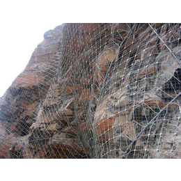 供应厂家*护栏网石笼网边坡防护网爬架网铁艺护栏基坑护栏 