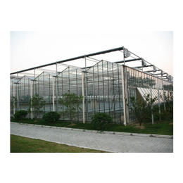 玻璃温室-青州市瑞青农林科技-玻璃智能温室大棚建设