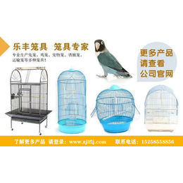 直立式兔笼-台湾兔笼-乐丰笼具