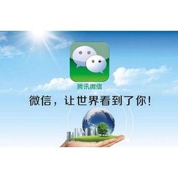 武汉微网科技公司-上海微信*引流