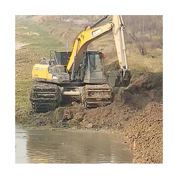 湖北和平挖掘机(图)-两用挖机出租费用-河南挖机出租费用