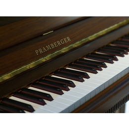 施坦威钢琴多少钱-蓝音乐器(在线咨询)-湘潭施坦威钢琴