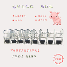 母猪限位栏尺寸是多少母猪*栏价格十头猪的限位栏报价