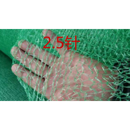 信阳盖土网-巨东化纤绳网品质*-工地防尘盖土网