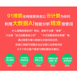 荆州平台推广怎么做-湖北91搜霸-百度平台推广怎么做