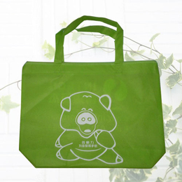 环保袋生产厂家-南京莱普诺(在线咨询)-南京环保袋