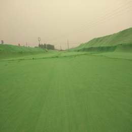 厂家生产批发建筑工地防尘网 工地盖沙盖土网裸土覆盖绿网