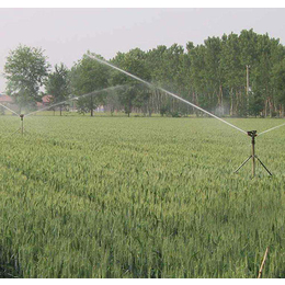 山地节水滴灌*-大关节水滴灌-润成节水灌溉配件