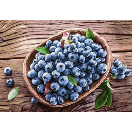 加拿大蓝莓进口清关公司巨晖服务很靠谱