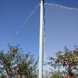 防雹网厂家供应新疆阿克苏果园防雹网 白色聚乙烯果园防雹网