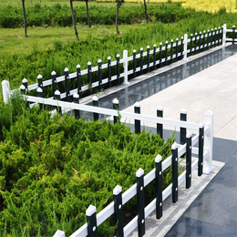 广东金栏30高蓝白色塑钢护栏环保美观花坛PVC草坪塑钢护栏