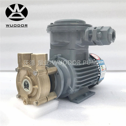 WD 10EX 200度防爆热油泵 防爆电机热油泵