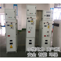 充气柜尔悦电力_GFS24-12系列充气柜定制出售