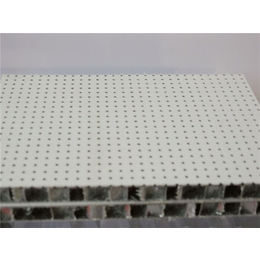 铝蜂窝板安装-普林森建材(在线咨询)-铝蜂窝板