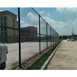 合肥围栏-安全性强-宝麒工程-体育场围栏网