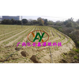 农业节水灌溉电话-农业节水灌溉-亿安鑫(查看)