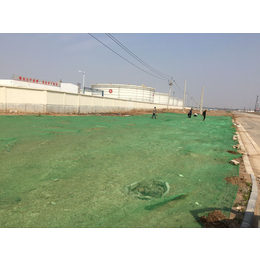 厂家*邯郸*地面覆盖网 3针工地盖土网 道路建设防尘网