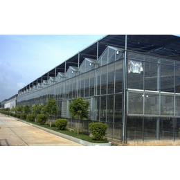 玻璃温室面积热指标 -千宏温室-玻璃温室