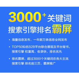 电子商务网络营销模式-宜昌网络营销模式-九一搜霸全网整合营销