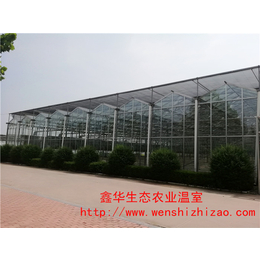 河北玻璃温室工程 阳光玻璃温室 钢化玻璃温室大棚设计造价