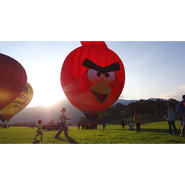 新天地航空俱乐部3(图)-热气球广告-金华热气球